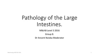 Pathology of the Large
Intestines.
MBchB Level 3 2016
Group 8.
Dr Ancent Nzioka-Moderator
Wednesday,JUNE 8th 2016 1
 
