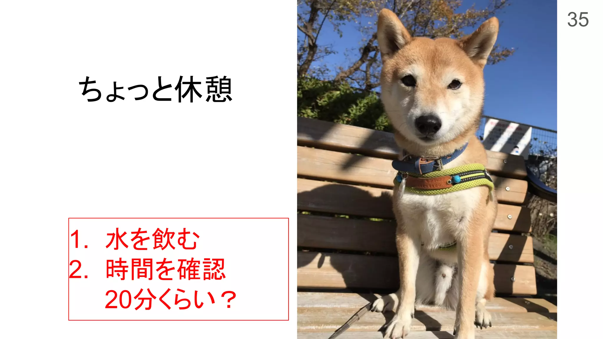 #ccc_a1
ちょっと休憩
35
1. 水を飲む
2. 時間を確認
20分くらい？
 