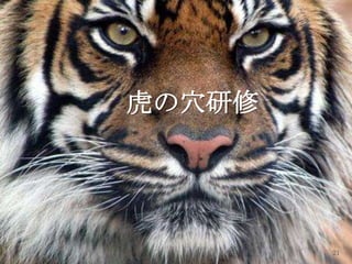 Copyright © Acroquest Technology Co., Ltd. All rights reserved.
21
虎の穴研修
 