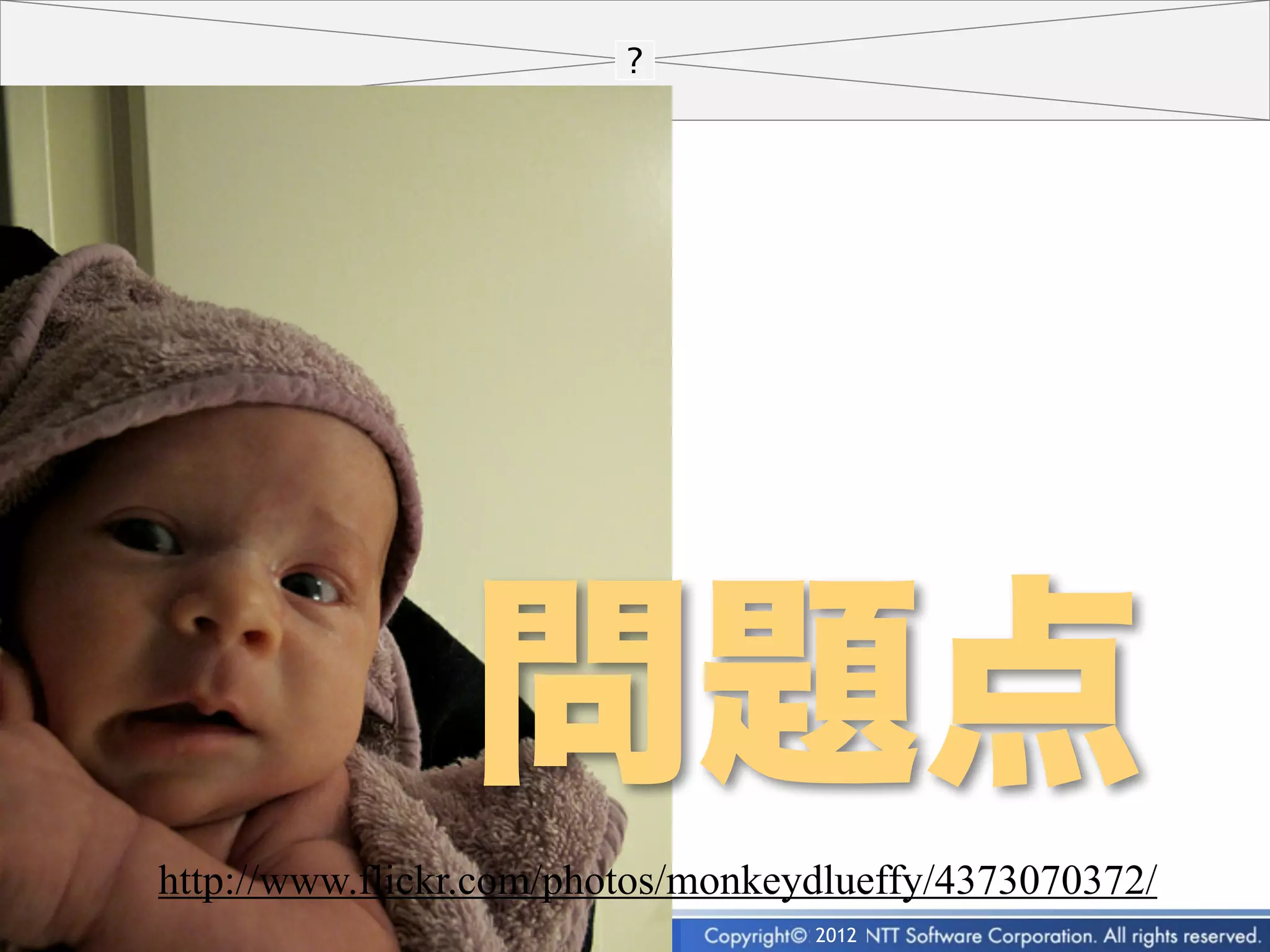 問題点
http://www.flickr.com/photos/monkeydlueffy/4373070372/
      28                           2012
 