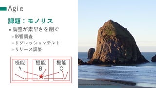 Agile
課題：モノリス
• 調整が素早さを削ぐ
»影響調査
»リグレッションテスト
»リリース調整
14
Haystack Rock at 8:30am by Brenda Dobbs
https://www.flickr.com/photos/bugldy99/45583127204/
機能
A
機能
B
機能
C
 