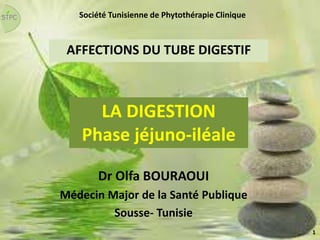AFFECTIONS DU TUBE DIGESTIF
Dr Olfa BOURAOUI
Médecin Major de la Santé Publique
Sousse- Tunisie
LA DIGESTION
Phase jéjuno-iléale
Société Tunisienne de Phytothérapie Clinique
1
 