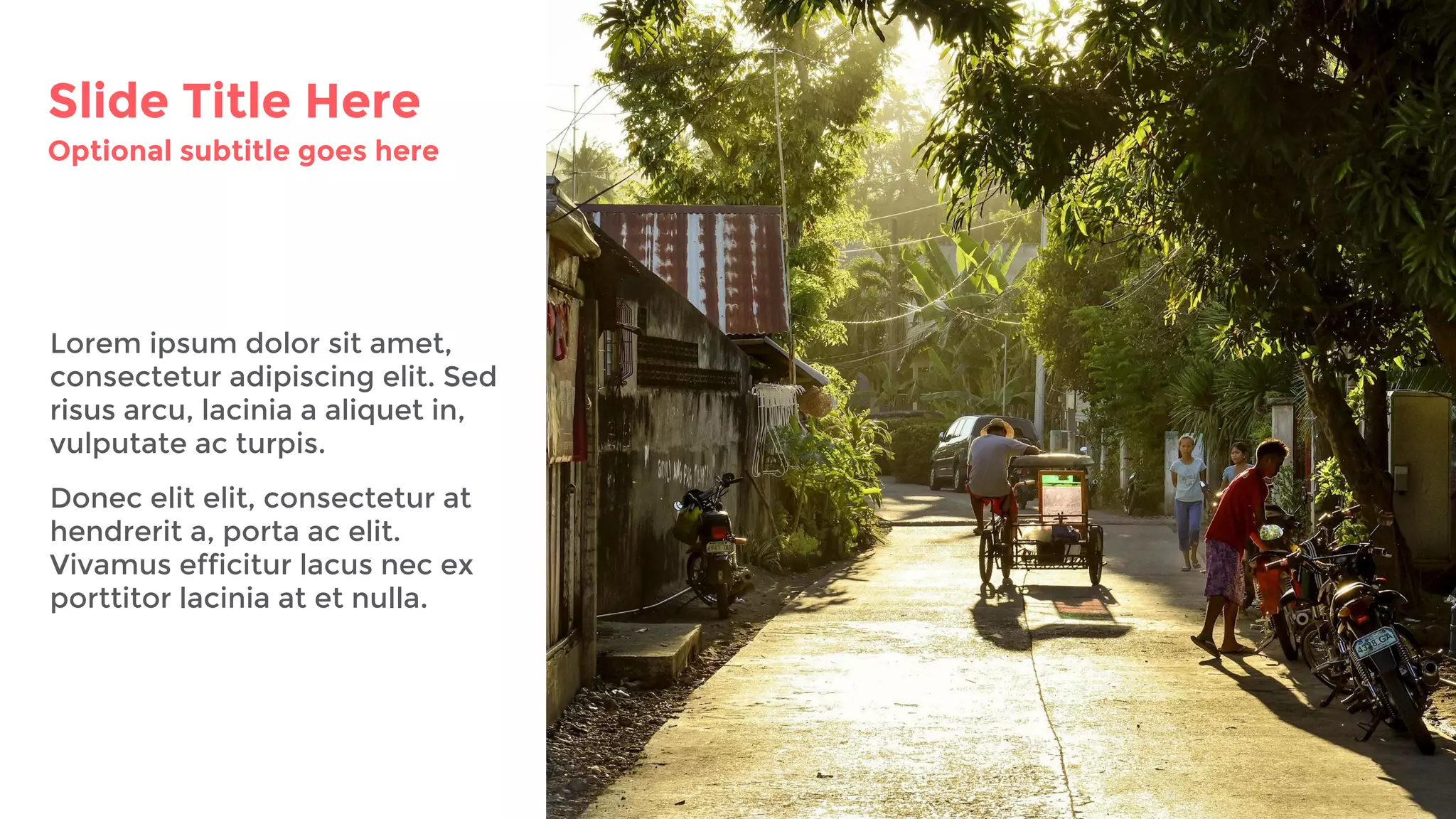 Slide Title Here
Optional subtitle goes here
Lorem ipsum dolor sit amet,
consectetur adipiscing elit. Sed
risus arcu, lacinia a aliquet in,
vulputate ac turpis.
Donec elit elit, consectetur at
hendrerit a, porta ac elit.
Vivamus efficitur lacus nec ex
porttitor lacinia at et nulla.
 