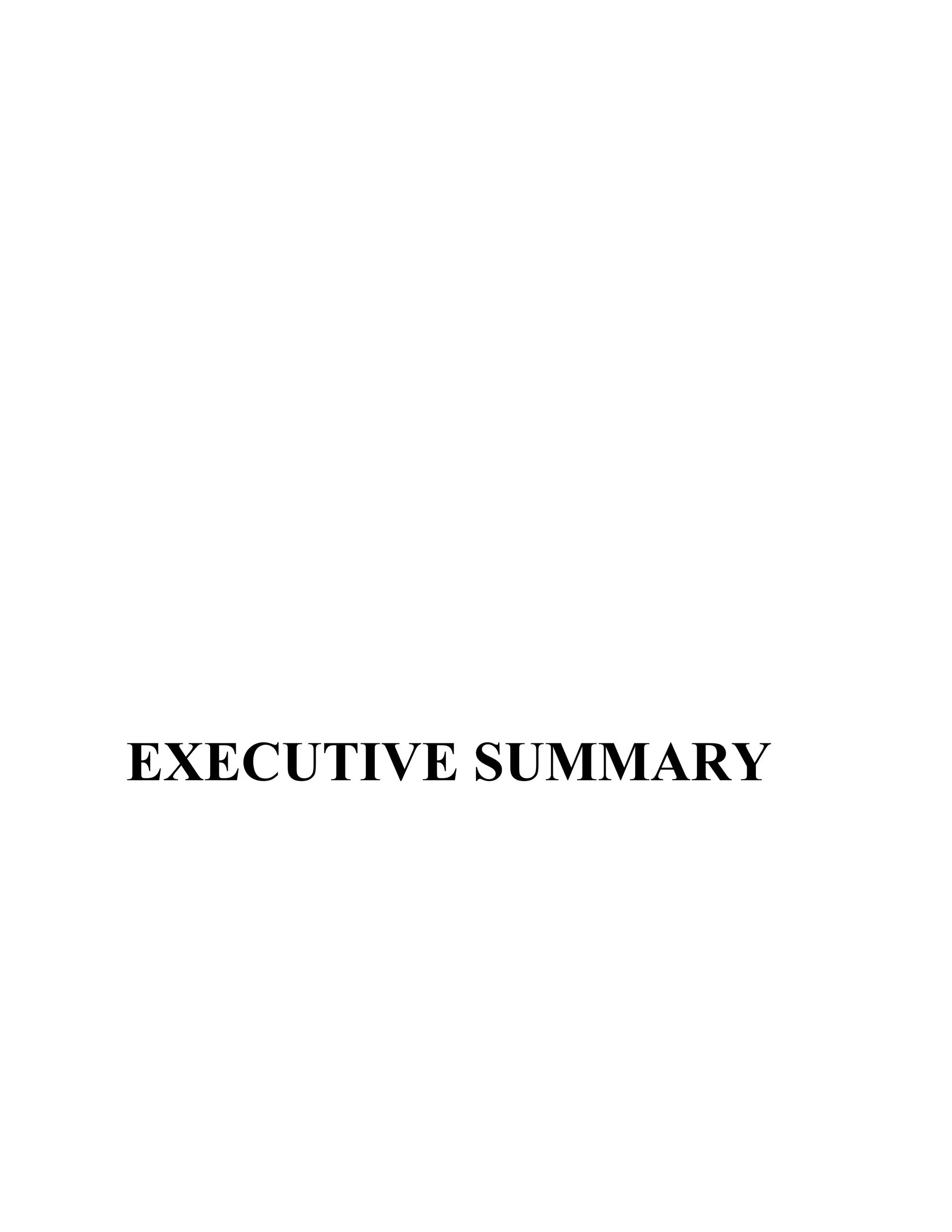 EXECUTIVE SUMMARY
 