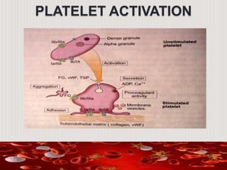 PLATELET ACTIVATION
 