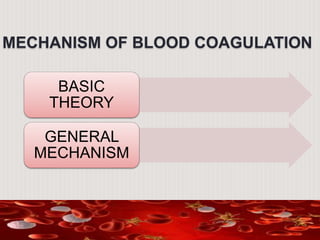 MECHANISM OF BLOOD COAGULATION
BASIC
THEORY
GENERAL
MECHANISM
 