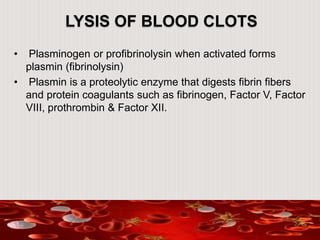 LYSIS OF BLOOD CLOTS
• Plasminogen or profibrinolysin when activated forms
plasmin (fibrinolysin)
• Plasmin is a proteolytic enzyme that digests fibrin fibers
and protein coagulants such as fibrinogen, Factor V, Factor
VIII, prothrombin & Factor XII.
 