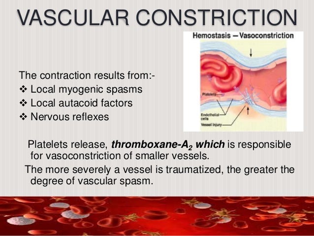 constricting blood vessel meaning constricting blood vessel meaning