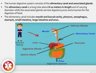 • The human digestive system consists of the alimentary canal and associated glands.
• The alimentary canal is a long tube about 8-10 meters in length and of varying
diameter while the associated glands secrete digestive juices and enzymes for the
digestion of food.
• The alimentary canal includes mouth and buccal cavity, pharynx, oesophagus,
stomach, small intestine, large intestine and anus.
 