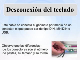 Desconexión del teclado

Este cable se conecta al gabinete por medio de un
conector, el que puede ser de tipo DIN, MiniDIN o
USB.



Observe que las diferencias
de los conectores son el número
de patitas, su tamaño y su forma.
 