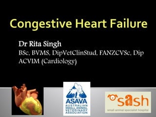 Dr Rita Singh
BSc, BVMS, DipVetClinStud, FANZCVSc, Dip
ACVIM (Cardiology)
 
