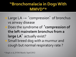  Large LA → ‘compression’ of bronchus
vs airway disease
 Does the syndrome of ‘compression of
the left mainstem bronchus from a
large LA’ actually exist?
 Small breed dog with a murmur and
cough but normal respiratory rate ?
* Singh et al, JVIM March/April 2012
 