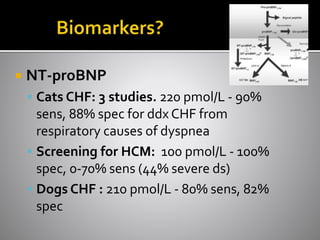  NT-proBNP
 Cats CHF: 3 studies. 220 pmol/L - 90%
sens, 88% spec for ddx CHF from
respiratory causes of dyspnea
 Screening for HCM: 100 pmol/L - 100%
spec, 0-70% sens (44% severe ds)
 Dogs CHF : 210 pmol/L - 80% sens, 82%
spec
 