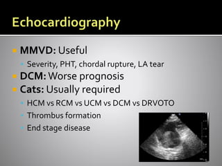  MMVD: Useful
 Severity, PHT, chordal rupture, LA tear
 DCM:Worse prognosis
 Cats: Usually required
 HCM vs RCM vs UCM vs DCM vs DRVOTO
 Thrombus formation
 End stage disease
 