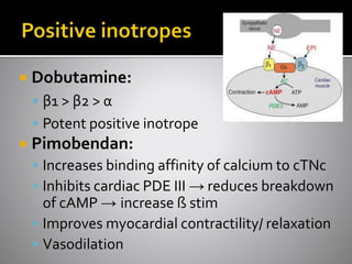  Dobutamine:
 β1 > β2 > α
 Potent positive inotrope
 Pimobendan:
 Increases binding affinity of calcium to cTNc
 Inhibits cardiac PDE III → reduces breakdown
of cAMP → increase ß stim
 Improves myocardial contractility/ relaxation
 Vasodilation
 
