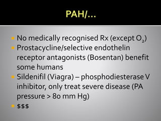  No medically recognised Rx (except O2)
 Prostacycline/selective endothelin
receptor antagonists (Bosentan) benefit
some humans
 Sildenifil (Viagra) – phosphodiesteraseV
inhibitor, only treat severe disease (PA
pressure > 80 mm Hg)
 $$$
 