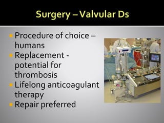  Procedure of choice –
humans
 Replacement -
potential for
thrombosis
 Lifelong anticoagulant
therapy
 Repair preferred
 