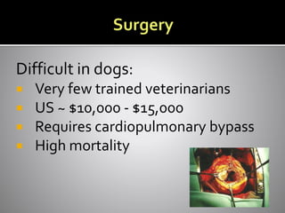 Difficult in dogs:
 Very few trained veterinarians
 US ~ $10,000 - $15,000
 Requires cardiopulmonary bypass
 High mortality
 