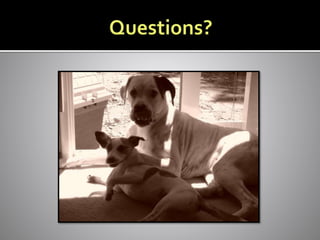 SASH : Congestive Heart Failure by Dr Rita Singh   