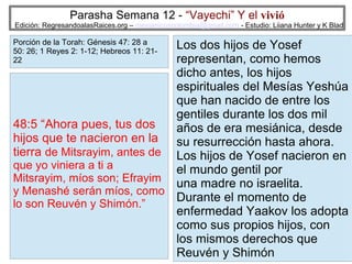 Parasha Semana 12 - “Vayechi” Y el vivió

Edición: RegresandoalasRaices.org – mesianicoscolombia@gmail.com - Estudio: Liiana Hunter y K Blad

Porción de la Torah: Génesis 47: 28 a
50: 26; 1 Reyes 2: 1-12; Hebreos 11: 2122

Los dos hijos de Yosef
representan, como hemos
dicho antes, los hijos
espirituales del Mesías Yeshúa
que han nacido de entre los
gentiles durante los dos mil
48:5 “Ahora pues, tus dos
años de era mesiánica, desde
hijos que te nacieron en la su resurrección hasta ahora.
tierra de Mitsrayim, antes de Los hijos de Yosef nacieron en
que yo viniera a ti a
el mundo gentil por
Mitsrayim, míos son; Efrayim una madre no israelita.
y Menashé serán míos, como
Durante el momento de
lo son Reuvén y Shimón.”
enfermedad Yaakov los adopta
como sus propios hijos, con
los mismos derechos que
11
Reuvén y Shimón

 
