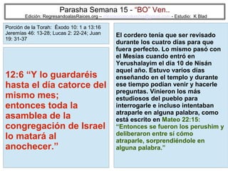 Parasha Semana 15 - “BO” Ven..

Edición: RegresandoalasRaices.org – mesianicoscolombia@gmail.com - Estudio: K Blad

Porción de la Torah: Éxodo 10: 1 a 13:16
Jeremías 46: 13-28; Lucas 2: 22-24; Juan
19: 31-37

12:6 “Y lo guardaréis
hasta el día catorce del
mismo mes;
entonces toda la
asamblea de la
congregación de Israel
lo matará al
anochecer.”

El cordero tenía que ser revisado
durante los cuatro días para que
fuera perfecto. Lo mismo pasó con
el Mesías cuando entró en
Yerushalayim el día 10 de Nisán
aquel año. Estuvo varios días
enseñando en el templo y durante
ese tiempo podían venir y hacerle
preguntas. Vinieron los más
estudiosos del pueblo para
interrogarle e incluso intentaban
atraparle en alguna palabra, como
está escrito en Mateo 22:15:
“Entonces se fueron los perushim y
deliberaron entre sí cómo
atraparle, sorprendiéndole en
alguna palabra.”
32

 