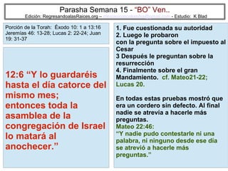 Parasha Semana 15 - “BO” Ven..

Edición: RegresandoalasRaices.org – mesianicoscolombia@gmail.com - Estudio: K Blad

Porción de la Torah: Éxodo 10: 1 a 13:16
Jeremías 46: 13-28; Lucas 2: 22-24; Juan
19: 31-37

12:6 “Y lo guardaréis
hasta el día catorce del
mismo mes;
entonces toda la
asamblea de la
congregación de Israel
lo matará al
anochecer.”

1. Fue cuestionada su autoridad
2. Luego le probaron
con la pregunta sobre el impuesto al
Cesar
3 Después le preguntan sobre la
resurrección
4. Finalmente sobre el gran
Mandamiento. cf. Mateo21-22;
Lucas 20.
En todas estas pruebas mostró que
era un cordero sin defecto. Al final
nadie se atrevía a hacerle más
preguntas.
Mateo 22:46:
“Y nadie pudo contestarle ni una
palabra, ni ninguno desde ese día
se atrevió a hacerle más
preguntas.”
33

 