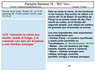 Parasha Semana 15 - “BO” Ven..

Edición: RegresandoalasRaices.org – mesianicoscolombia@gmail.com - Estudio: K Blad

Porción de la Torah: Éxodo 10: 1 a 13:16
Jeremías 46: 13-28; Lucas 2: 22-24; Juan
19: 31-37

12:8 “comerán la carne esa
noche, asada al fuego, y la
comerán con pan sin levadura
y con hierbas amargas.”

Sólo se come la carne, no los tendones
ni los huesos. Esa noche se refiere a la
noche del 15 de Nisán. El sacrificio de
Pesaj no se puede comer de día. Para
asarlo se usaba, en el tiempo del
segundo templo, una estaca de madera
de granado que atravesaba el animal.
Los tres ingredientes más importantes
en la celebración son:
• Korbán Pesaj – el cordero sacrificado
y asado (sólo permitido en
Yerushalayim, cf. Deuteronomio 16:5-6)
• Matsá – pan sin levadura (de trigo,
cebada, espelta, avena o centeno)
• Maror – hierbas amargas (son
válidas: lechuga, escarola,
perifollo, eringio y hierbas amargas)

46

 