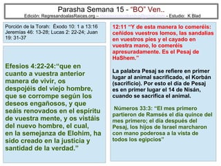 Parasha Semana 15 - “BO” Ven..

Edición: RegresandoalasRaices.org – mesianicoscolombia@gmail.com - Estudio: K Blad

Porción de la Torah: Éxodo 10: 1 a 13:16
Jeremías 46: 13-28; Lucas 2: 22-24; Juan
19: 31-37

Efesios 4:22-24:“que en
cuanto a vuestra anterior
manera de vivir, os
despojéis del viejo hombre,
que se corrompe según los
deseos engañosos, y que
seáis renovados en el espíritu
de vuestra mente, y os vistáis
del nuevo hombre, el cual,
en la semejanza de Elohim, ha
sido creado en la justicia y
santidad de la verdad.”

12:11 “Y de esta manera lo comeréis:
ceñidos vuestros lomos, las sandalias
en vuestros pies y el cayado en
vuestra mano, lo comeréis
apresuradamente. Es el Pesaj de
HaShem.”
La palabra Pesaj se refiere en primer
lugar al animal sacrificado, el Korbán
(sacrificio). Por esto el día de Pesaj
es en primer lugar el 14 de Nisán,
cuando se sacrifica el animal.
Números 33:3: “El mes primero
partieron de Ramsés el día quince del
mes primero; el día después del
Pesaj, los hijos de Israel marcharon
con mano poderosa a la vista de
todos los egipcios”
52

 