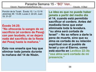 Parasha Semana 15 - “BO” Ven..

Edición: RegresandoalasRaices.org – mesianicoscolombia@gmail.com - Estudio: K Blad

Porción de la Torah: Éxodo 10: 1 a 13:16
Jeremías 46: 13-28; Lucas 2: 22-24; Juan
19: 31-37

Éxodo 34:25:
“No ofrecerás la sangre de mi
sacrificio (el cordero de Pesaj)
con pan leudado, ni se dejará
nada del sacrificio de la fiesta
del Pesaj hasta la mañana.”
Esto nos enseña que hay que
eliminar todo jamets durante
la mañana del 14 de Nisán.

La idea es que no puede haber
jamets a partir del medio día
el 14, cuando está permitido
sacrificar el cordero. Antes del
mediodía tiene que estar
eliminada toda la levadura.
“su alma será cortada de
Israel” – No se refiere a darle la
pena de muerte, sino que su
alma es cortada de su relación
espiritual con el pueblo de
Israel y con el Eterno, como
está escrito en Levítico 22:3b:
“esa alma será cortada de mi
presencia.”
58

 