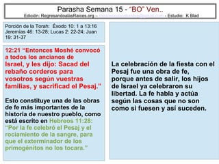 Parasha Semana 15 - “BO” Ven..

Edición: RegresandoalasRaices.org – mesianicoscolombia@gmail.com - Estudio: K Blad

Porción de la Torah: Éxodo 10: 1 a 13:16
Jeremías 46: 13-28; Lucas 2: 22-24; Juan
19: 31-37

12:21 “Entonces Moshé convocó
a todos los ancianos de

Israel, y les dijo: Sacad del
rebaño corderos para
vosotros según vuestras
familias, y sacrificad el Pesaj.”
Esto constituye una de las obras
de fe más importantes de la
historia de nuestro pueblo, como
está escrito en Hebreos 11:28:
“Por la fe celebró el Pesaj y el
rociamiento de la sangre, para
que el exterminador de los
primogénitos no los tocara.”

La celebración de la fiesta con el
Pesaj fue una obra de fe,
porque antes de salir, los hijos
de Israel ya celebraron su
libertad. La fe habla y actúa
según las cosas que no son
como si fuesen y así suceden.

63

 