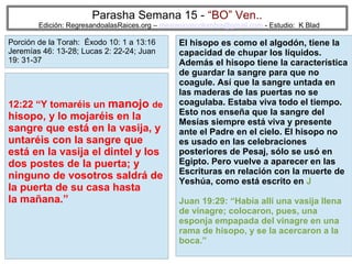 Parasha Semana 15 - “BO” Ven..

Edición: RegresandoalasRaices.org – mesianicoscolombia@gmail.com - Estudio: K Blad

Porción de la Torah: Éxodo 10: 1 a 13:16
Jeremías 46: 13-28; Lucas 2: 22-24; Juan
19: 31-37

12:22 “Y tomaréis un manojo de

hisopo, y lo mojaréis en la
sangre que está en la vasija, y
untaréis con la sangre que
está en la vasija el dintel y los
dos postes de la puerta; y
ninguno de vosotros saldrá de
la puerta de su casa hasta
la mañana.”

El hisopo es como el algodón, tiene la
capacidad de chupar los líquidos.
Además el hisopo tiene la característica
de guardar la sangre para que no
coagule. Así que la sangre untada en
las maderas de las puertas no se
coagulaba. Estaba viva todo el tiempo.
Esto nos enseña que la sangre del
Mesías siempre está viva y presente
ante el Padre en el cielo. El hisopo no
es usado en las celebraciones
posteriores de Pesaj, sólo se usó en
Egipto. Pero vuelve a aparecer en las
Escrituras en relación con la muerte de
Yeshúa, como está escrito en J
Juan 19:29: “Había allí una vasija llena
de vinagre; colocaron, pues, una
esponja empapada del vinagre en una
rama de hisopo, y se la acercaron a la
boca.”
64

 