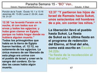 Parasha Semana 15 - “BO” Ven..

Edición: RegresandoalasRaices.org – mesianicoscolombia@gmail.com - Estudio: K Blad

Porción de la Torah: Éxodo 10: 1 a 13:16
Jeremías 46: 13-28; Lucas 2: 22-24; Juan
19: 31-37

12:30 “se levantó Faraón en la
noche, él con todos sus siervos y todos los egipcios; y
hubo gran clamor en Egipto,
porque no había hogar donde no
hubiera alguien muerto.”
Todos los primogénitos que
había en la tierra de Egipto
fueron heridos, cf. 12:12, no
solamente de los egipcios. La
única manera de ser liberado de
esta plaga era unirse con
el pueblo de Israel y creer en la
sangre del cordero. En todas las casas había algún
muerto.

12:37 “Y partieron los hijos de
Israel de Ramsés hacia Sukot,
unos seiscientos mil hombres
de a pie, sin contar los niños.”
La liberación llevó el pueblo
hasta Sukot. La fiesta
de Sukot es la última fiesta en
el programa de redención
del Eterno, al final del año,
como está escrito en Éxodo
34:22b:
“la fiesta de la recolección al
final del año.”
67

 