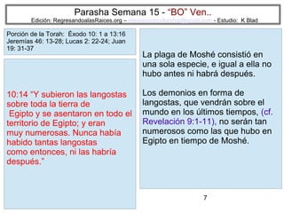 Parasha Semana 15 - “BO” Ven..

Edición: RegresandoalasRaices.org – mesianicoscolombia@gmail.com - Estudio: K Blad

Porción de la Torah: Éxodo 10: 1 a 13:16
Jeremías 46: 13-28; Lucas 2: 22-24; Juan
19: 31-37

10:14 “Y subieron las langostas
sobre toda la tierra de
Egipto y se asentaron en todo el
territorio de Egipto; y eran
muy numerosas. Nunca había
habido tantas langostas
como entonces, ni las habría
después.”

La plaga de Moshé consistió en
una sola especie, e igual a ella no
hubo antes ni habrá después.
Los demonios en forma de
langostas, que vendrán sobre el
mundo en los últimos tiempos, (cf.
Revelación 9:1-11), no serán tan
numerosos como las que hubo en
Egipto en tiempo de Moshé.

7

 