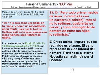 Parasha Semana 15 - “BO” Ven..

Edición: RegresandoalasRaices.org – mesianicoscolombia@gmail.com - Estudio: K Blad

Porción de la Torah: Éxodo 10: 1 a 13:16
Jeremías 46: 13-28; Lucas 2: 22-24; Juan
19: 31-37

13:9 “Y te será como una señal en

tu mano, y como un recordatorio
en tu frente, para que la Torá de

HaShem esté en tu boca; porque con
mano fuerte te sacó HaShem de
Egipto.”
Los cuatro textos de Éxodo 13:1-10; 1116; Deuteronomio 6:4-9 y 11:13-21, son
los que se llevan en los tefilín que se
colocan sobre la mano y en la cabeza
durante la oración matutina. La salida de
Egipto debe ser algo que se recuerde
cada día y hay que llevar esta obra
redentora en la mano y entre los ojos.
Debe ser parte de nuestras obras y debe
ser la base de nuestra visión.

13:13 “Pero todo primer nacido
de asno, lo redimirás con
un cordero (o cabrito); mas si
no lo redimes, quebrarás su
cerviz; y todo primogénito de
hombre de entre tus hijos,
lo redimirás.”
El único animal impuro que es
redimido es el asno. El asno
representa la vida laboral del
hombre. Pertenece al eterno.
Necesita ser redimida por el
Cordero.
76

 