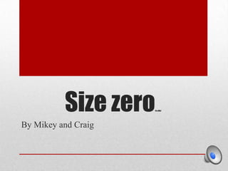 Size zero

(is silly)

By Mikey and Craig

 