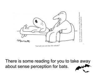 There is some reading for you to take away
about sense perception for bats.
 