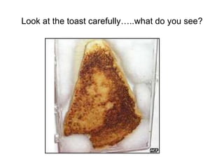 Look at the toast carefully…..what do you see?
 