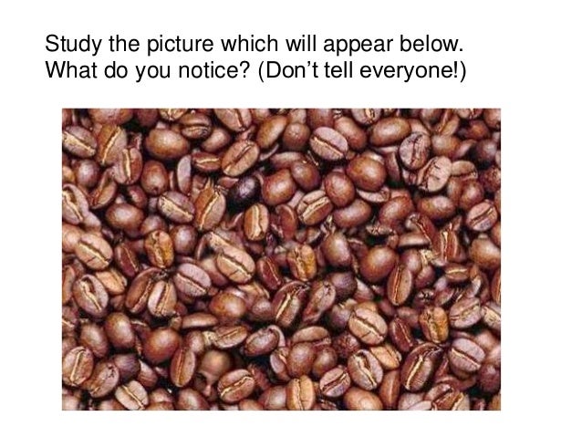sense perception