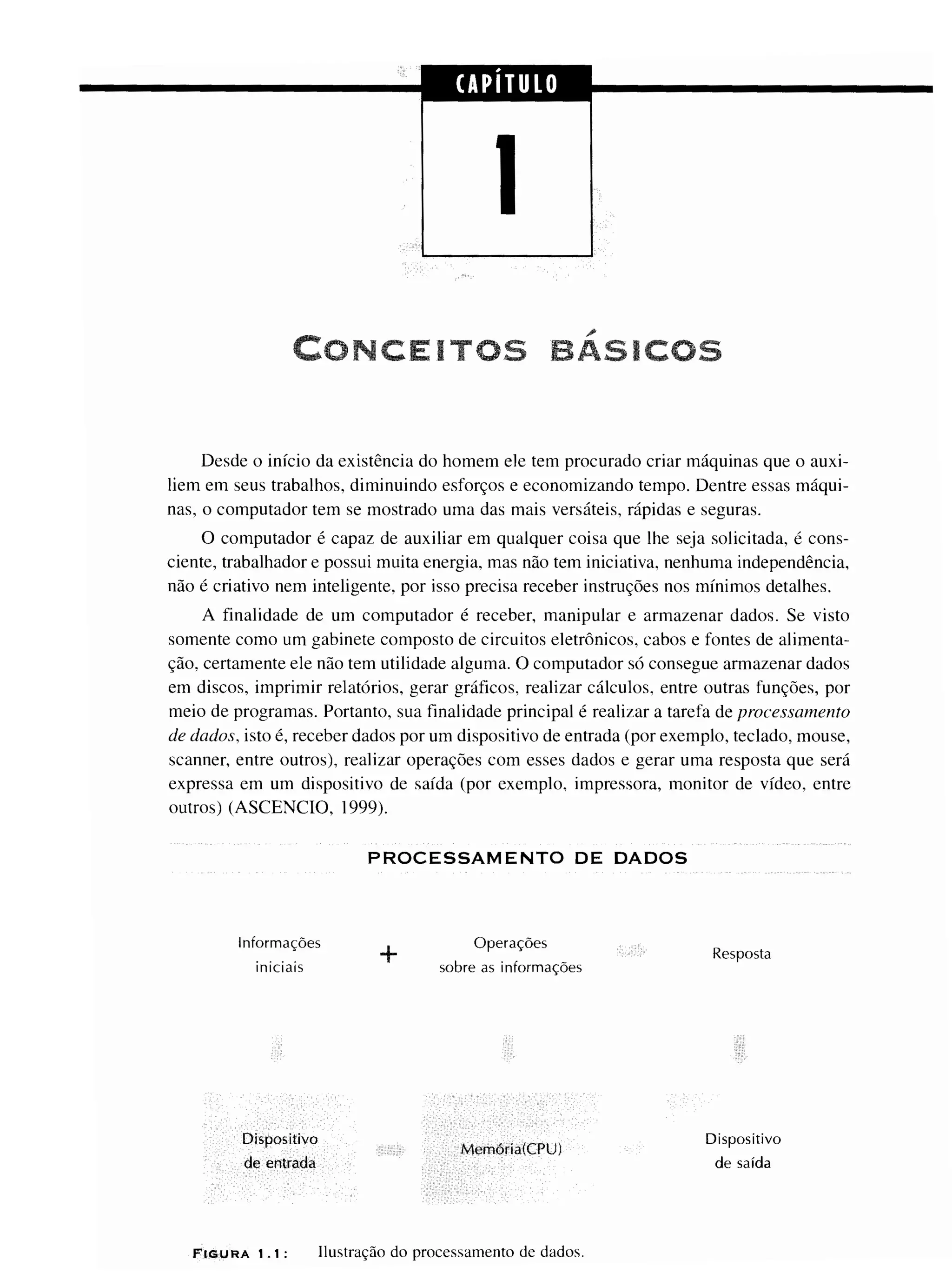 Fundamentos da programação de computadores   1ª edição