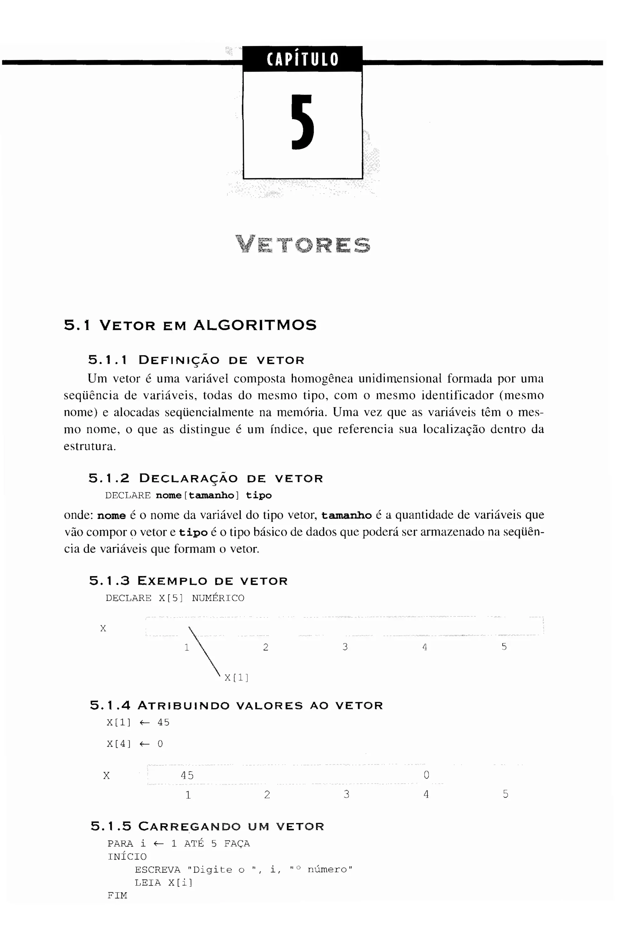 Fundamentos da programação de computadores   1ª edição