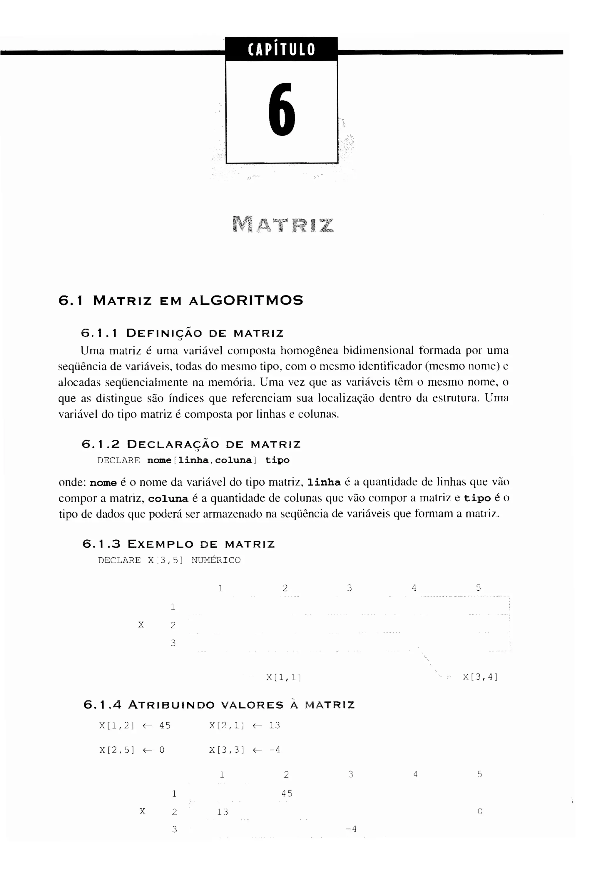 Fundamentos da programação de computadores   1ª edição