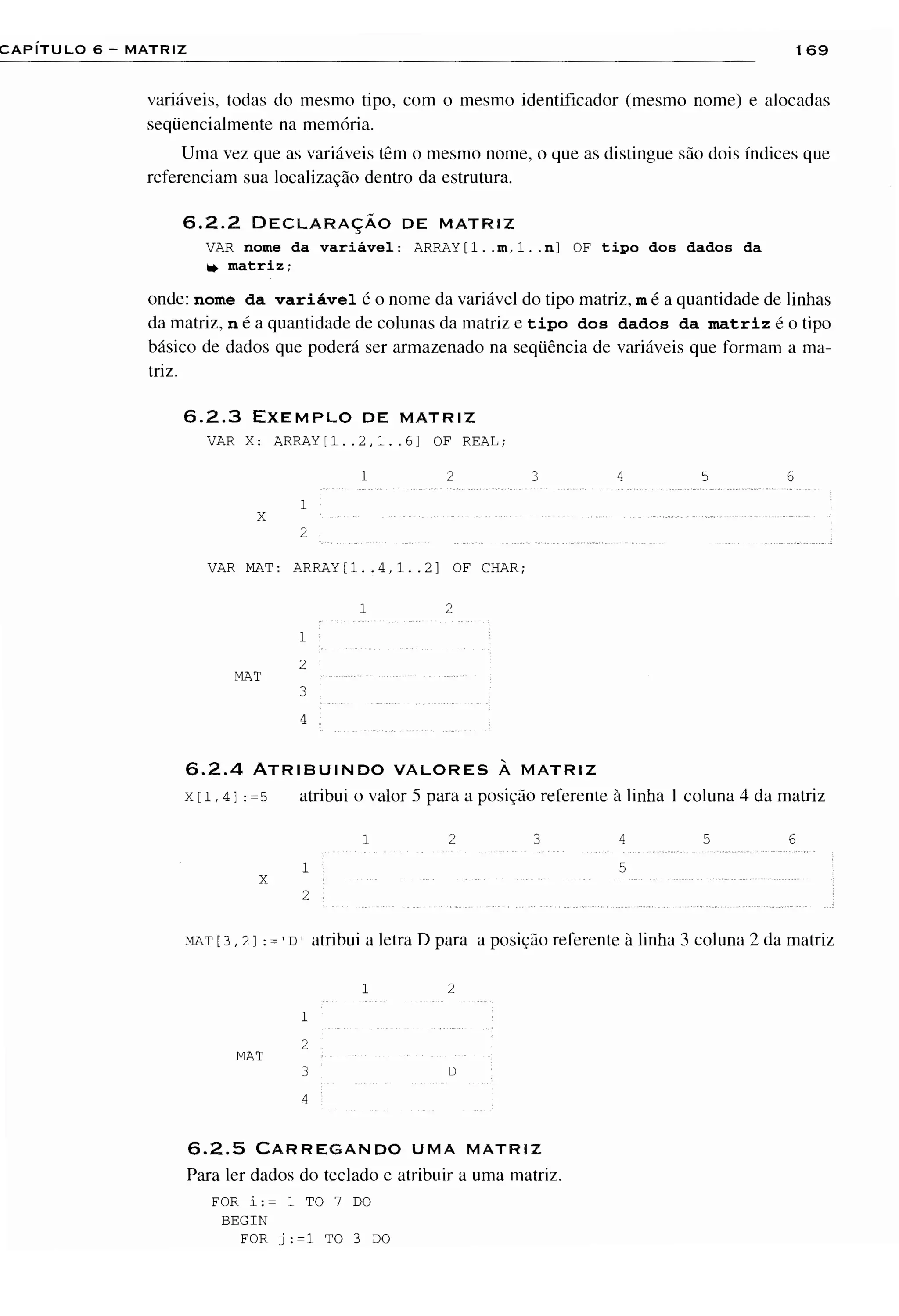 Fundamentos da programação de computadores   1ª edição