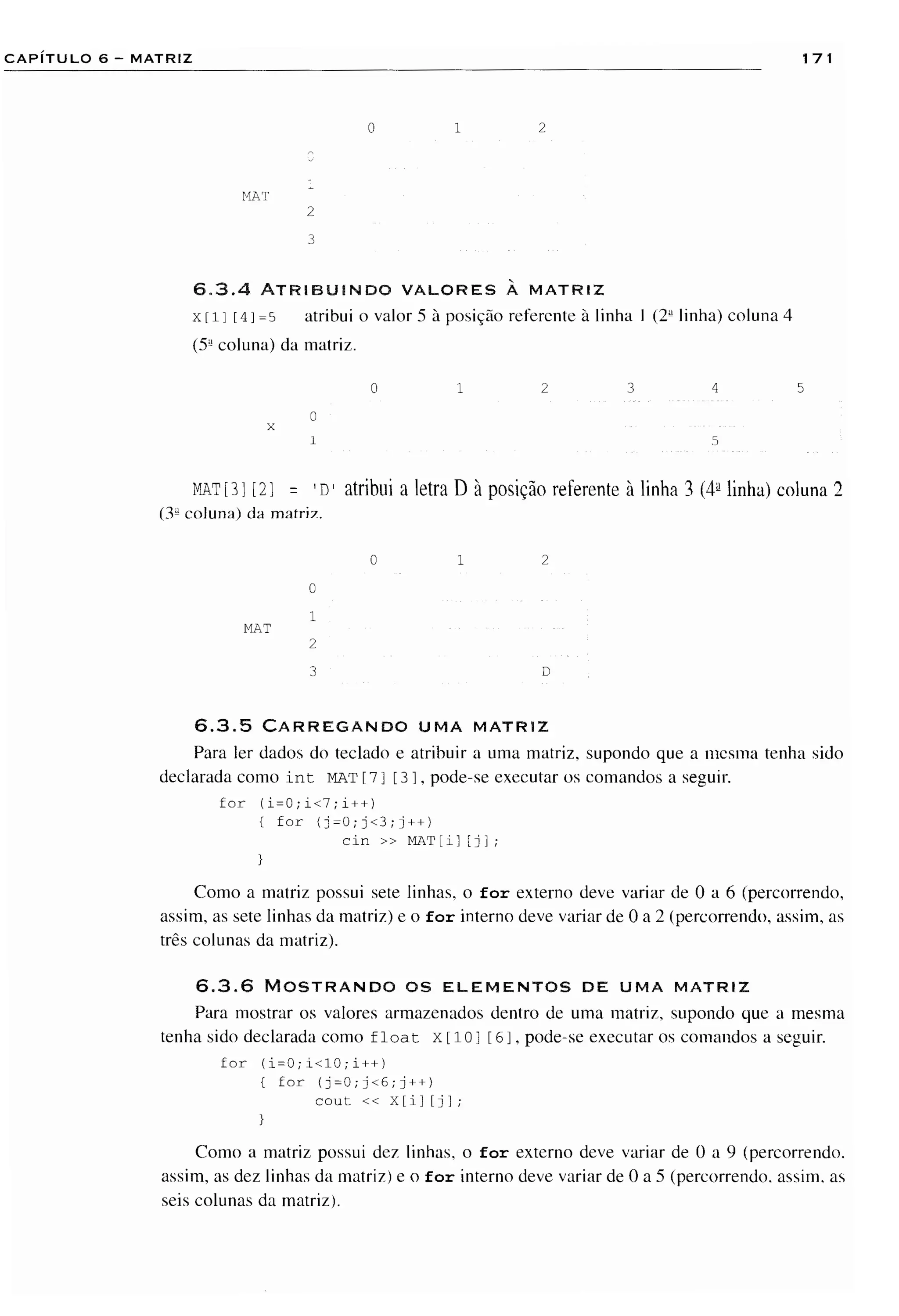 Fundamentos da programação de computadores   1ª edição
