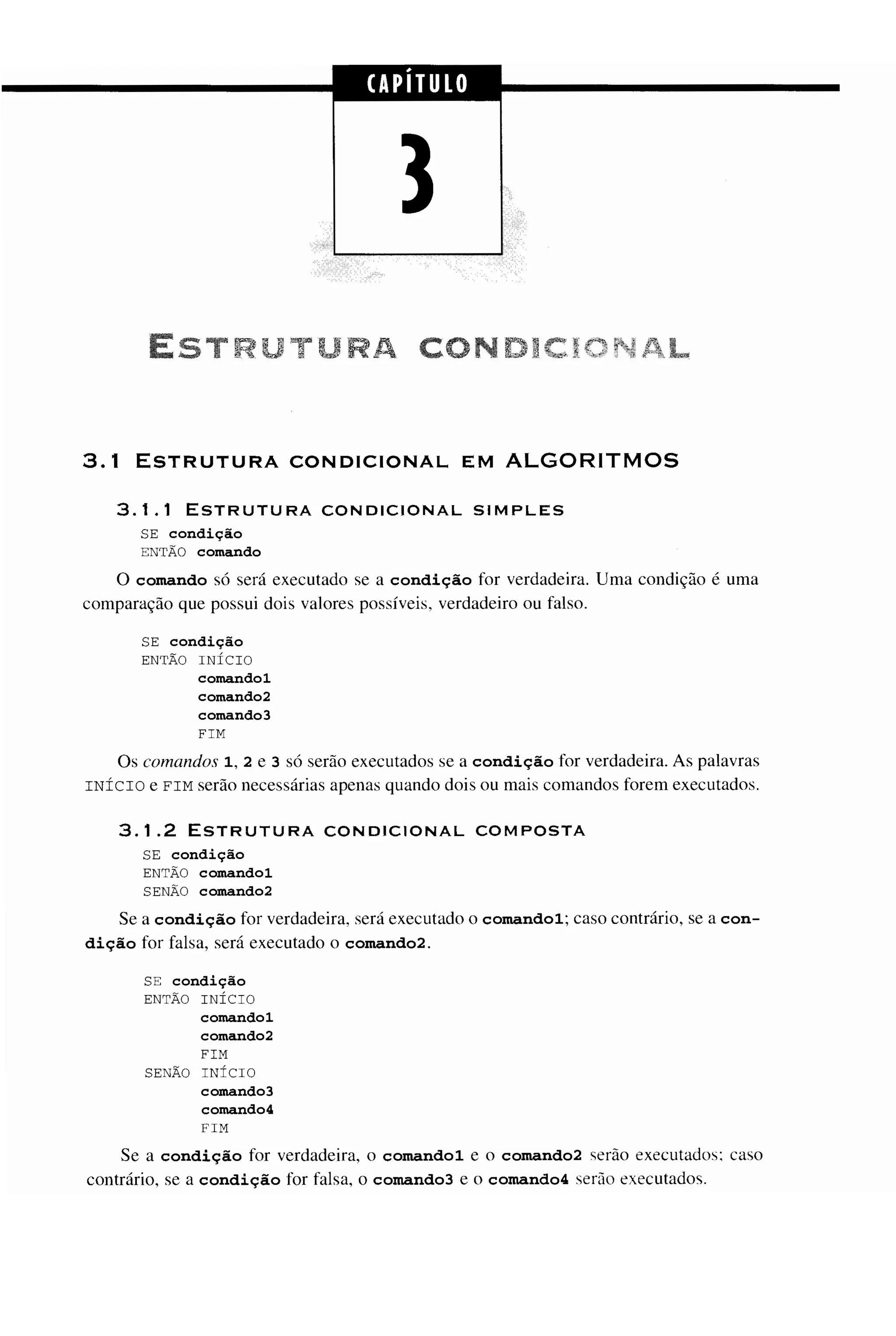 Fundamentos da programação de computadores   1ª edição