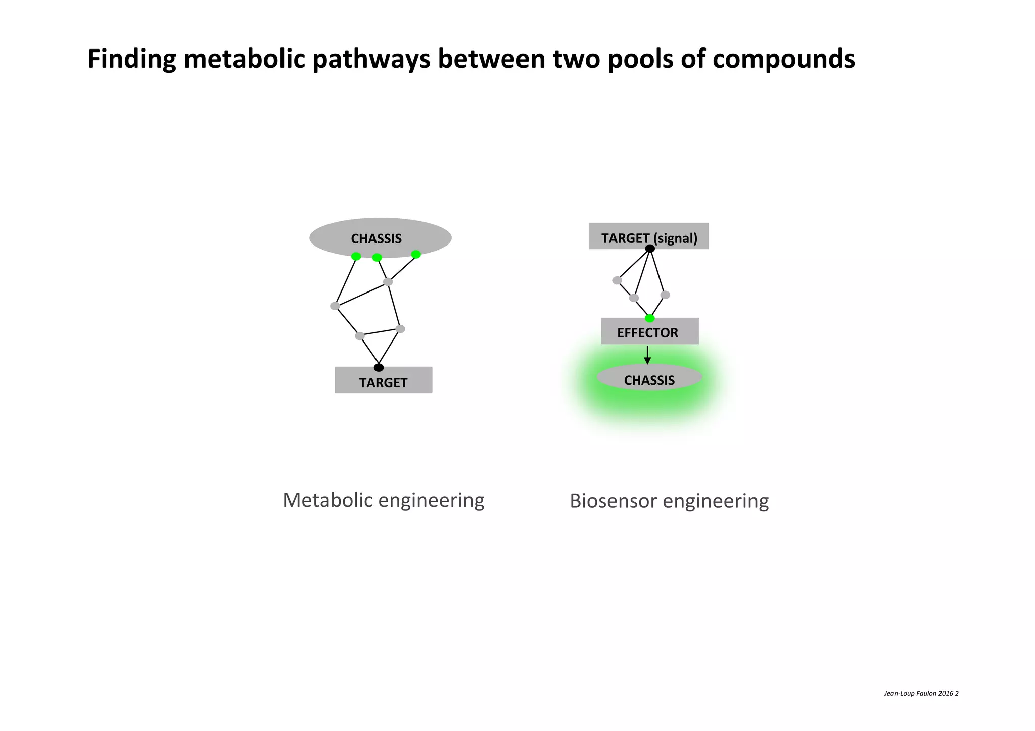 Using retrosynthesis in synthetic biology and metabolic engineering | PDF