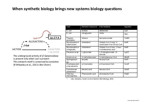 palindromic sequence recognized by restriction enzymes palindromic sequence recognized by restriction enzymes