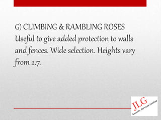 G) CLIMBING & RAMBLING ROSES
Useful to give added protection to walls
and fences. Wide selection. Heights vary
from 2.7.
 