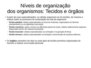 Níveis de organização
dos organismos: Tecidos e órgãos
● A partir de suas especializações, as células organizam-se em tecidos, de maneira a
realizar todos os processos de sustentação da vida do organismo
– Tecido epitelial: células especializadas na troca de materiais; organizados em lâminas
(revestimento) ou em glândulas (secreção)
– Tecido conectivo: apoia e ancora as diferentes partes do corpo; células relativamente esparsas
dispersadas dentro de material extracelular
– Tecido muscular: células especializadas na contração e na geração de força
– Tecido nervoso: células especializadas na iniciação e transmissão de impulsos elétricos.
● Os órgãos consistem em dois ou mais tipos de tecidos primários organizados de
maneira a realizar uma função particular
 
