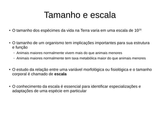 Tamanho e escala
●
O tamanho dos espécimes da vida na Terra varia em uma escala de 1020
● O tamanho de um organismo tem implicações importantes para sua estrutura
e função
– Animais maiores normalmente vivem mais do que animais menores
– Animais maiores normalmente tem taxa metabólica maior do que animais menores
●
O estudo da relação entre uma variável morfológica ou fisiológica e o tamanho
corporal é chamado de escala
●
O conhecimento da escala é essencial para identificar especializações e
adaptações de uma espécie em particular
 