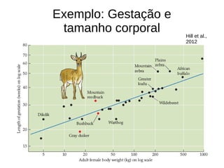 Exemplo: Gestação e
tamanho corporal Hill et al.,
2012
 